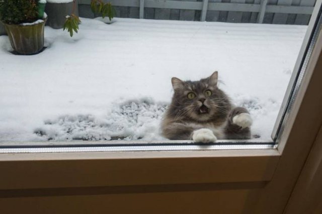 Acid Picdump. Part 1 (71 pics)