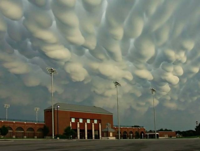 Acid Picdump. Part 1 (71 pics)