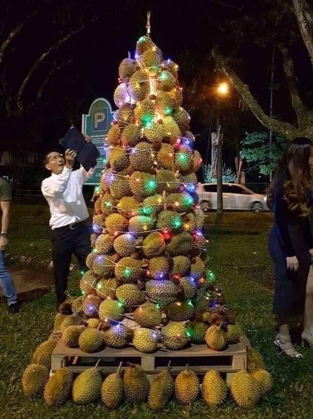 Acid Picdump. Part 1 (71 pics)
