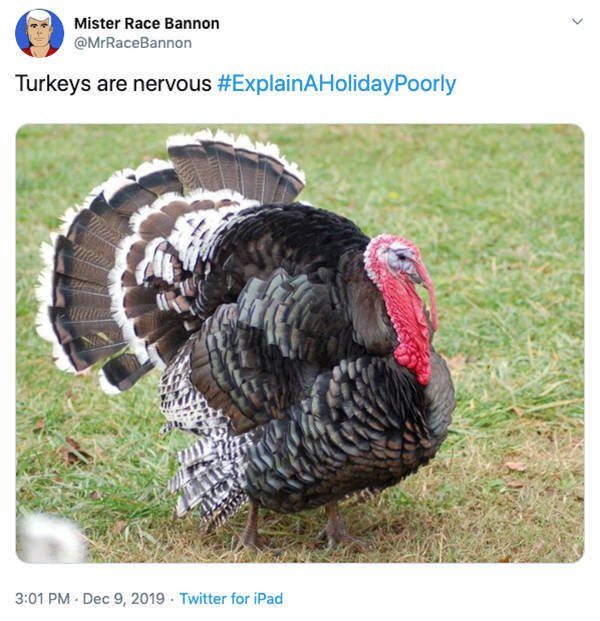 Poor Way To Explain Holidays (25 pics)