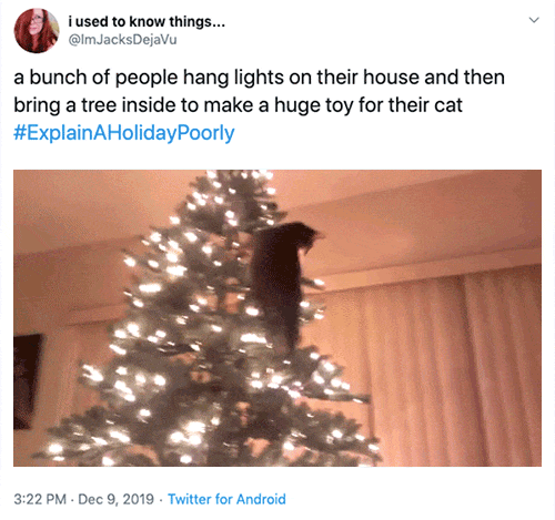 Poor Way To Explain Holidays (25 pics)