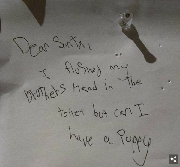 Kids' Christmas Lists (23 pics)
