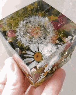 Acid Gifdump, December 16 (25 gifs)