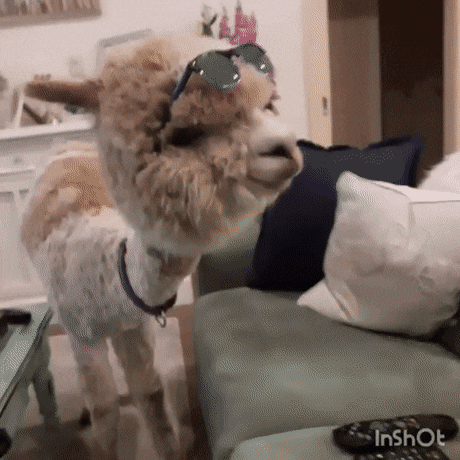 Acid Gifdump, December 16 (25 gifs)