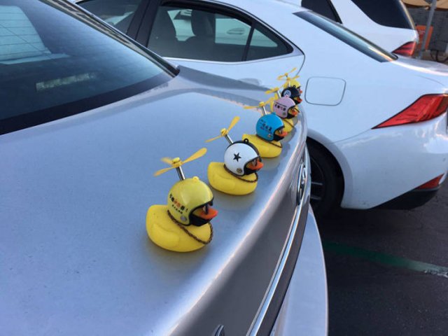 Acid Picdump. Part 2 (97 pics)