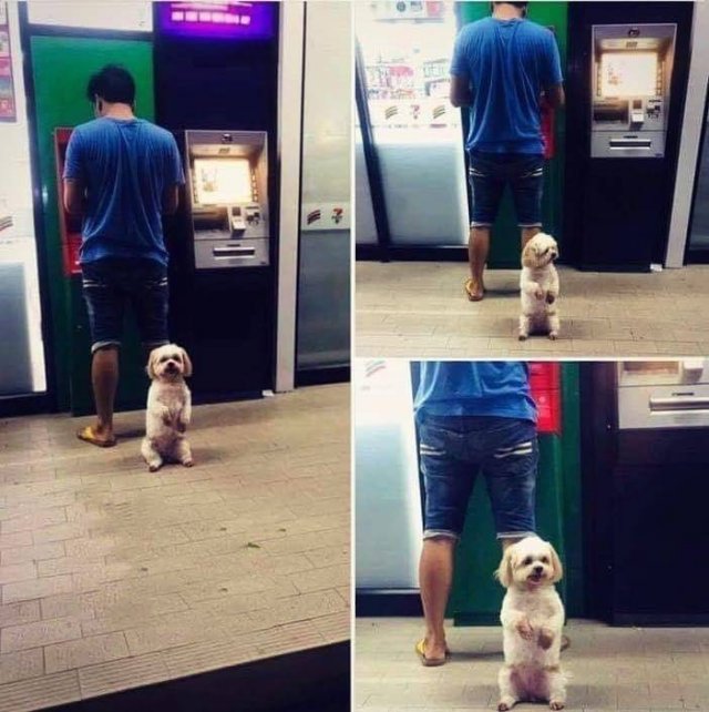 Acid Picdump. Part 2 (97 pics)