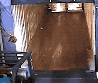 Forklift Operator Fails (10 gifs)