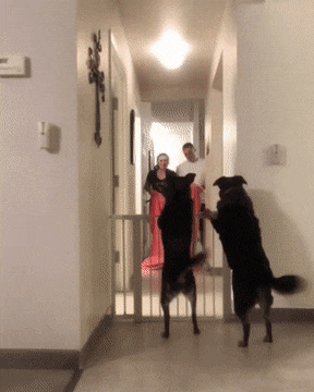 Acid Gifdump, December 17 (25 gifs)