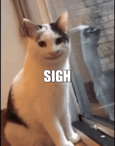 Acid Gifdump, December 17 (25 gifs)