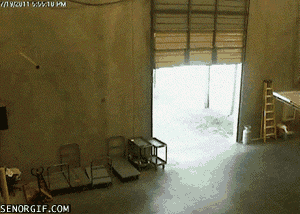 Acid Gifdump, December 17 (25 gifs)
