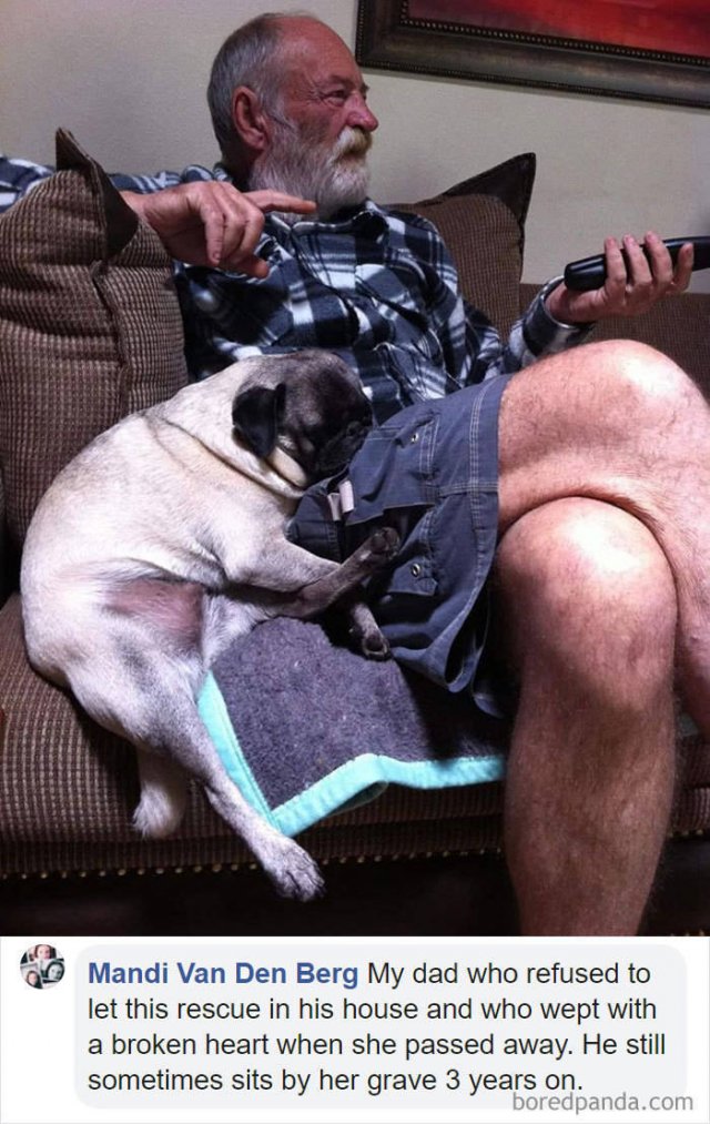 People Who Didn't Want Pets (33 pics)