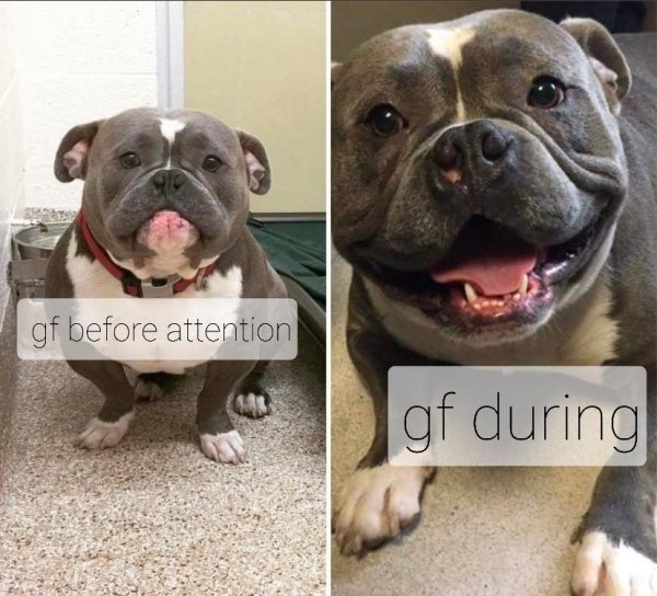 Life Is Great (24 pics)