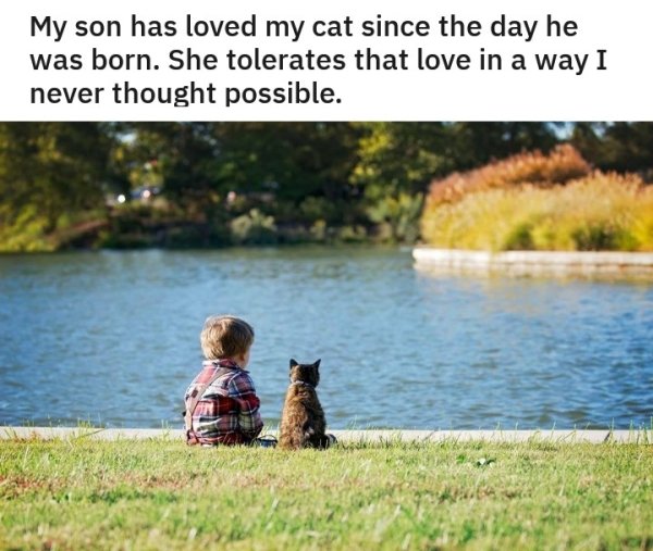 Life Is Great (24 pics)
