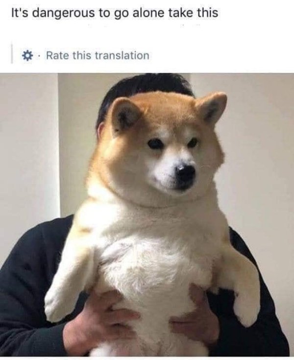 Life Is Great (24 pics)