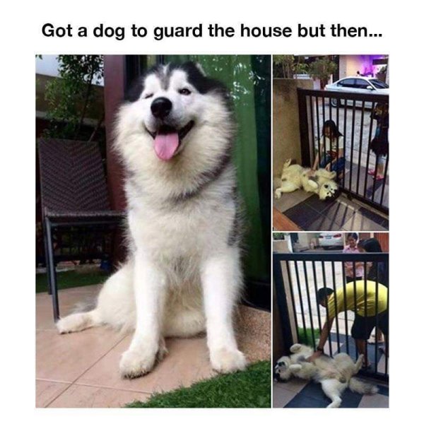 Life Is Great (24 pics)