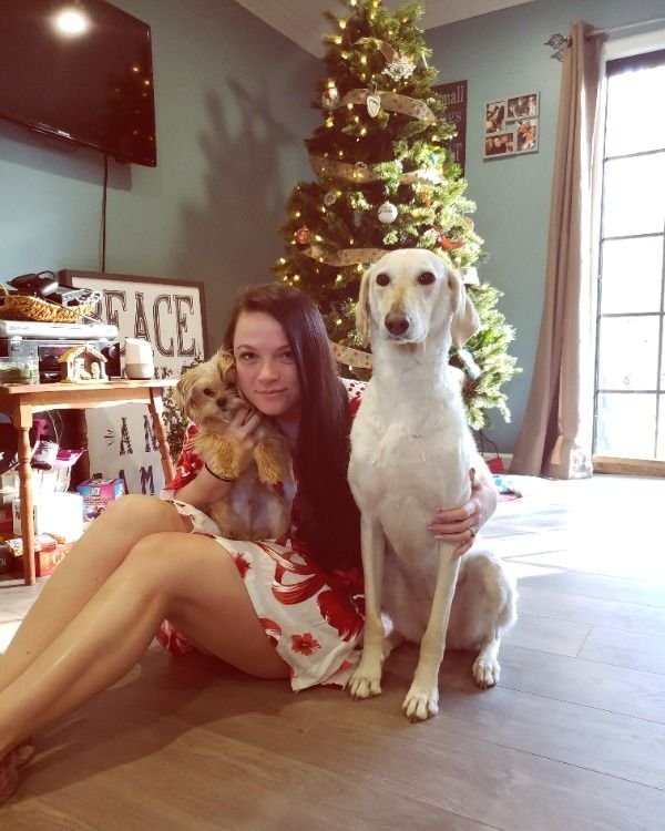 Hot Christmas Girls (37 pics)