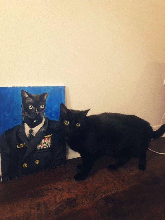 Acid Picdump. Part 1 (101 pics)