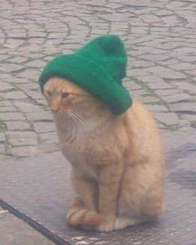 Acid Picdump. Part 1 (101 pics)