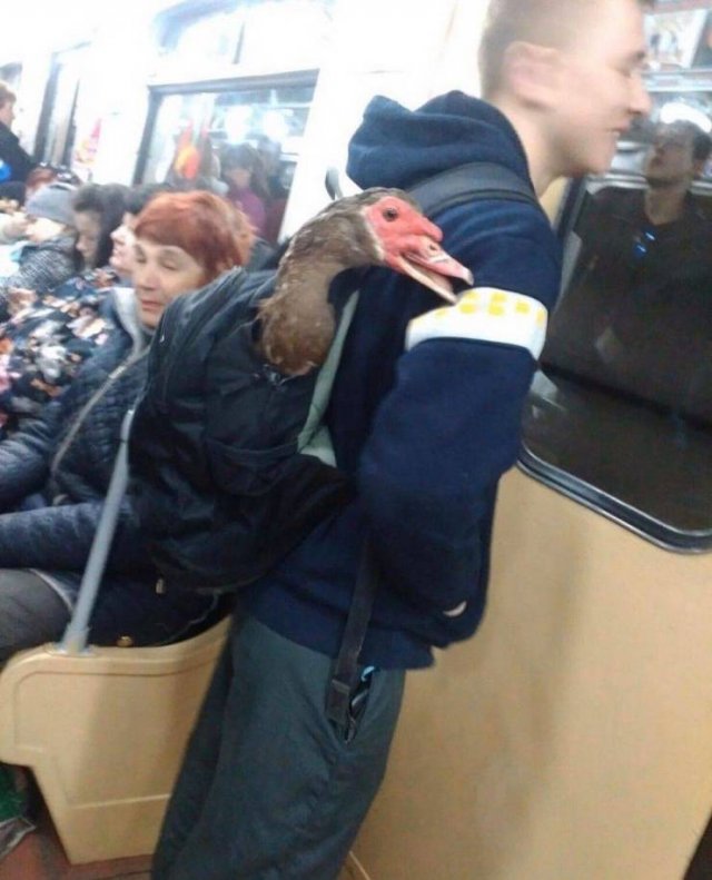 Acid Picdump. Part 1 (101 pics)