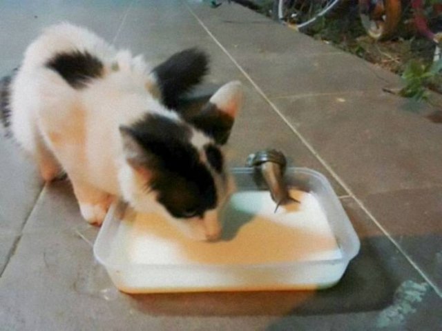 Acid Picdump. Part 1 (101 pics)