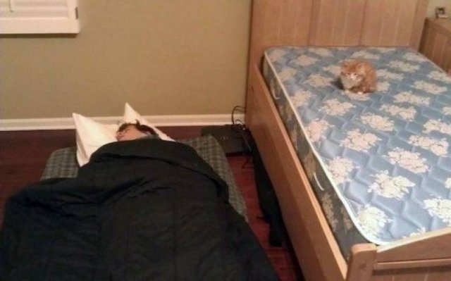 Acid Picdump. Part 1 (101 pics)
