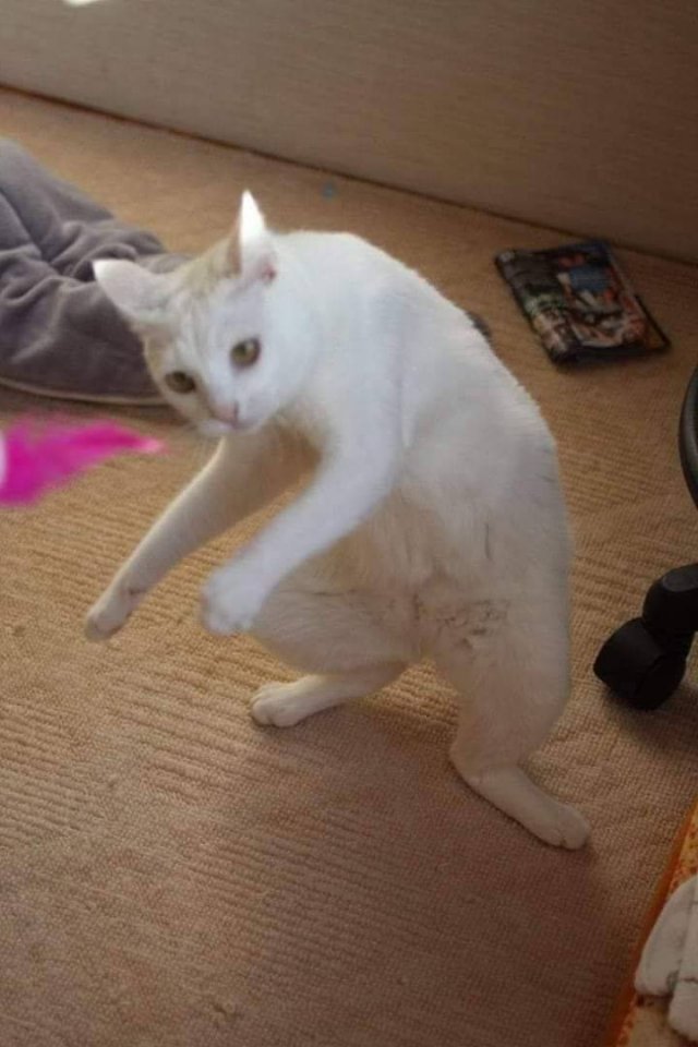Acid Picdump. Part 1 (101 pics)