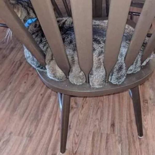 Acid Picdump. Part 1 (101 pics)