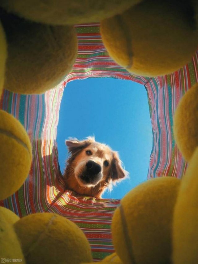Acid Picdump. Part 1 (101 pics)