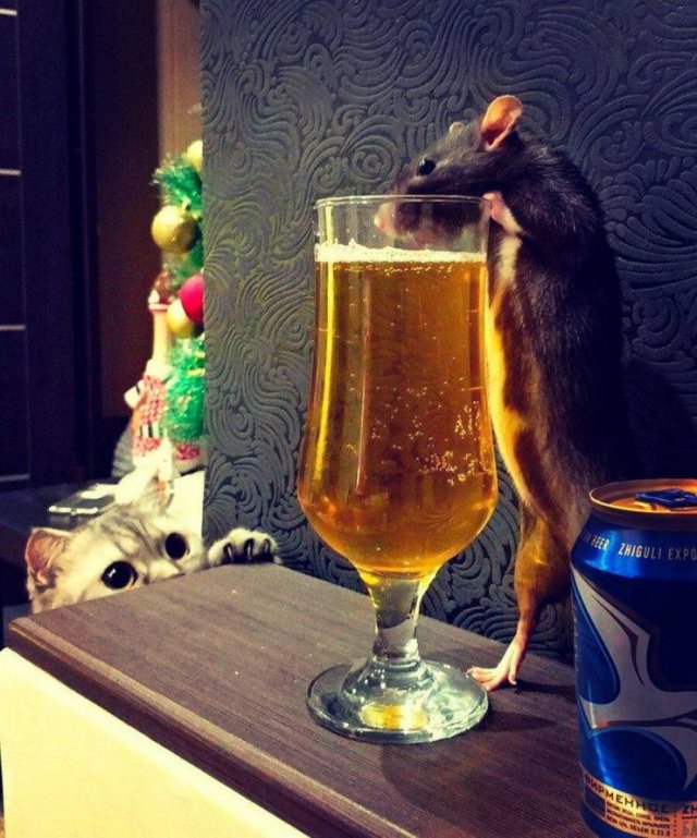 Acid Picdump. Part 1 (101 pics)
