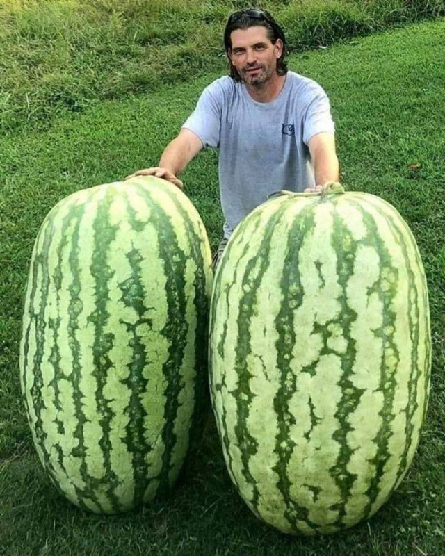 Acid Picdump. Part 1 (101 pics)