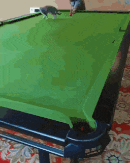 Acid Gifdump, December 18 (25 gifs)