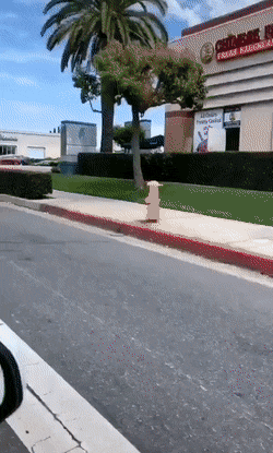 Acid Gifdump, December 18 (25 gifs)