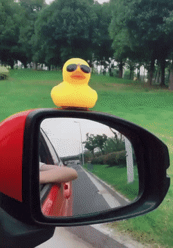 Acid Gifdump, December 18 (25 gifs)