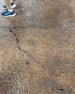 Acid Gifdump, December 18 (25 gifs)