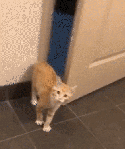 Acid Gifdump, December 18 (25 gifs)