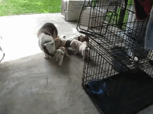 Acid Gifdump, December 18 (25 gifs)
