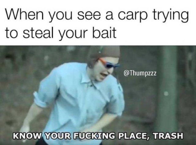 Hilarious Fishing Memes (29 pics)