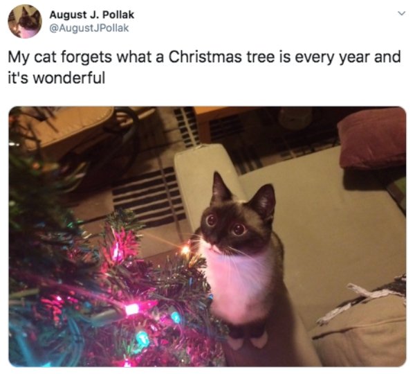 Tweets About Christmas (30 pics)