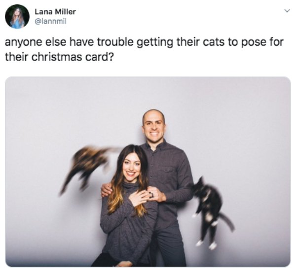 Tweets About Christmas (30 pics)