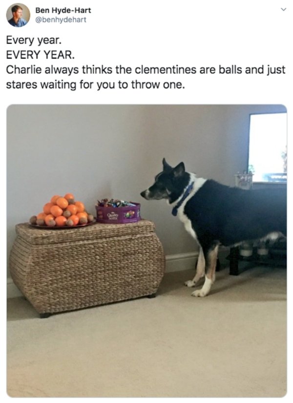 Tweets About Christmas (30 pics)