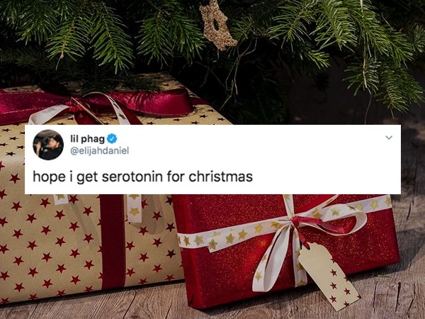 Tweets About Christmas (30 pics)