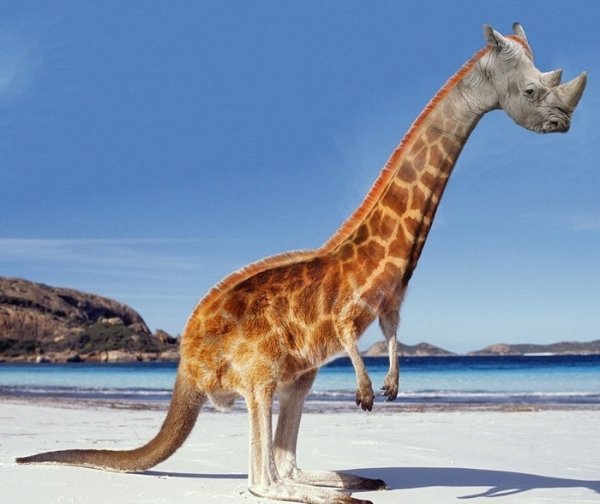 Cool Photoshopped Animals (30 pics)