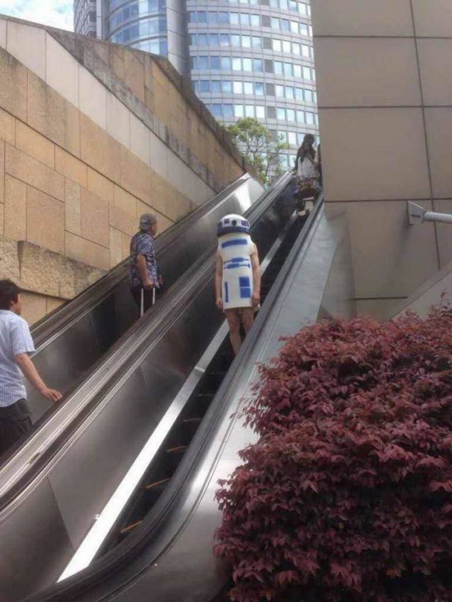 Try To Explain It (54 pics)