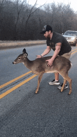 Acid Gifdump, December 20 (25 gifs)