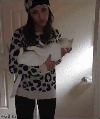 Acid Gifdump, December 20 (25 gifs)