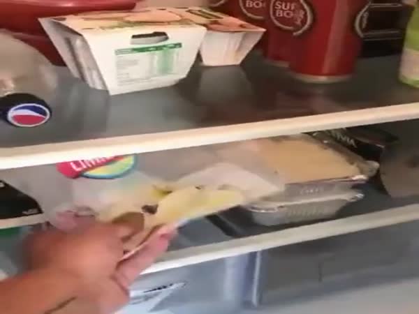 It's Time To Eat