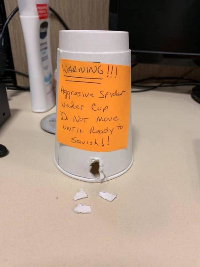 Husbands And Boyfriends Who Bring Their Relationships To The Next Level (45 pics)