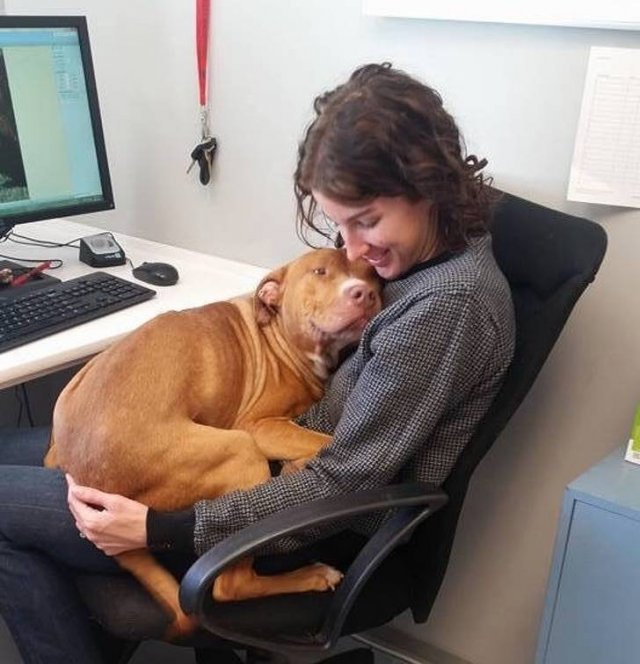 People Show Their 'Normal' Working Days (20 pics) People Show Their 'Normal' Working Days (20 pics)
