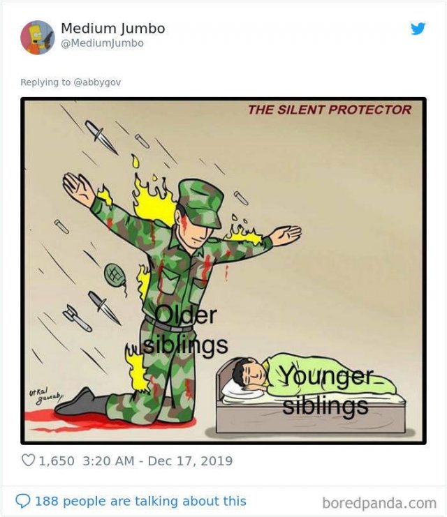 Tweets: The Older Sibling Vs. The Younger One (32 pics)