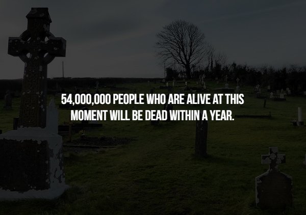 Scary Facts (15 pics)